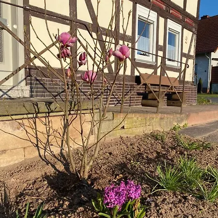 Pferdefairstand's Апартаменты Haunetal