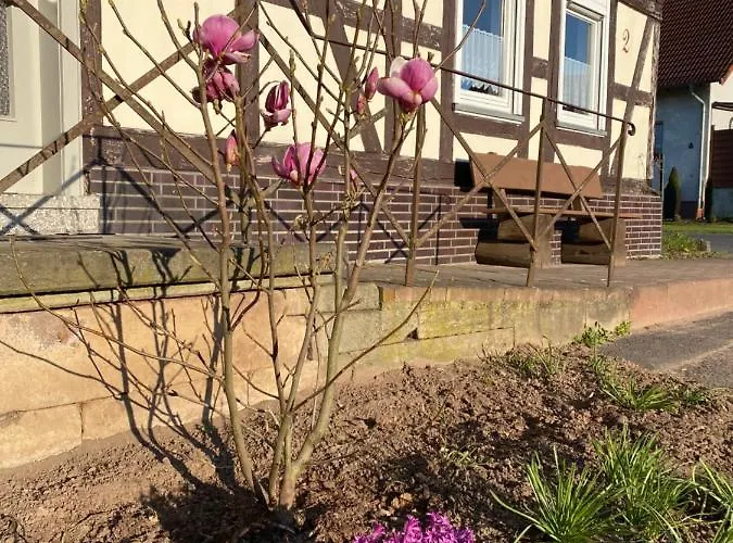 Pferdefairstand's Appartement Haunetal